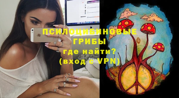 mix Алексин