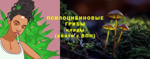 mix Алексин