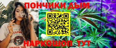 шишки Бийск